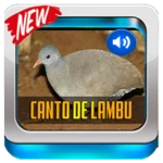 canto de lambu completo android application logo